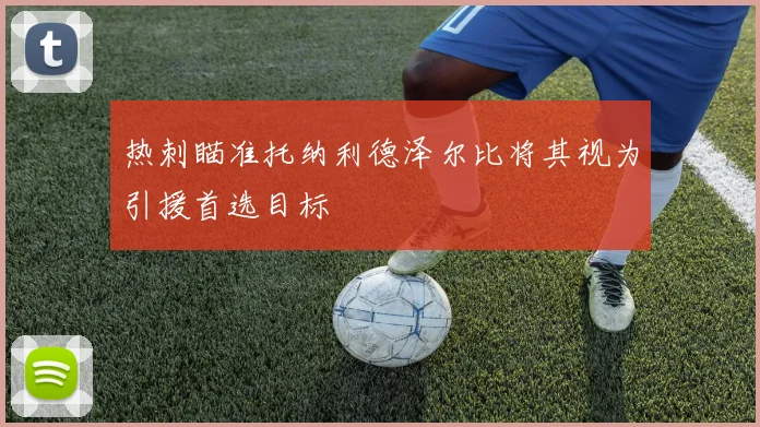 热刺瞄准托纳利德泽尔比将其视为引援首选目标